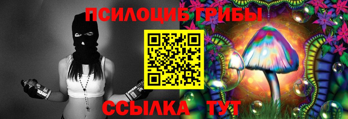 Сунжа  наркота  Вход с VPN  Галлюциногенные грибы GOLDEN TEACHER 
